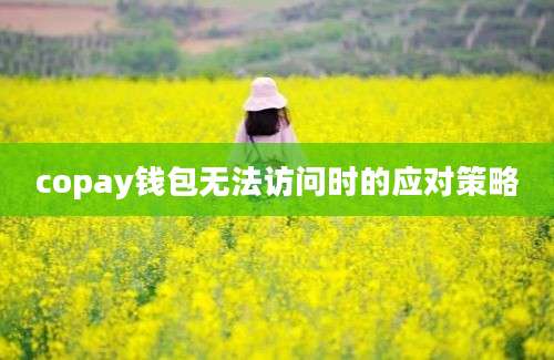 copay钱包无法访问时的应对策略