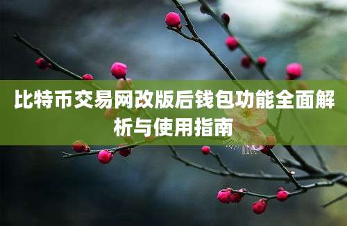 比特币交易网改版后钱包功能全面解析与使用指南