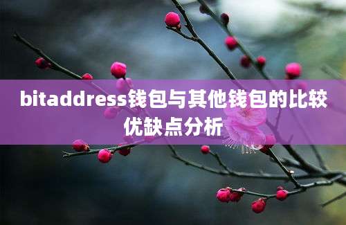 bitaddress钱包与其他钱包的比较优缺点分析