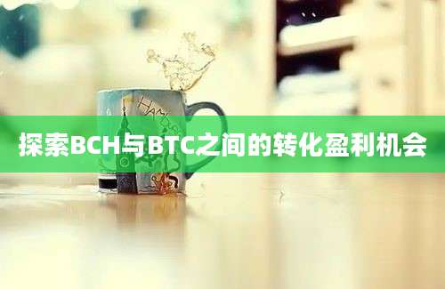 探索BCH与BTC之间的转化盈利机会