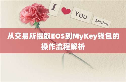 从交易所提取EOS到MyKey钱包的操作流程解析