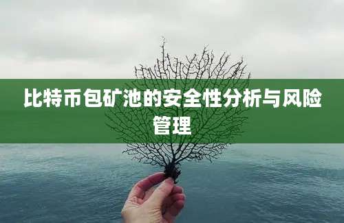 比特币包矿池的安全性分析与风险管理