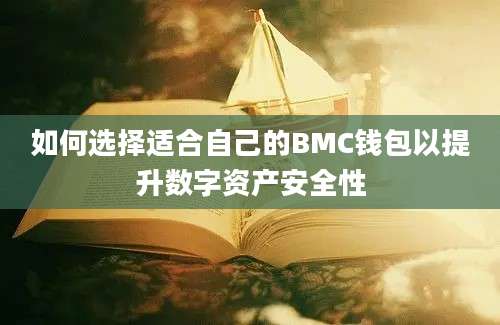 如何选择适合自己的BMC钱包以提升数字资产安全性