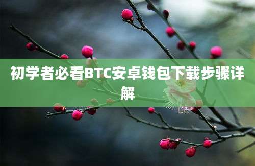 初学者必看BTC安卓钱包下载步骤详解