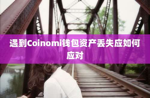 遇到Coinomi钱包资产丢失应如何应对