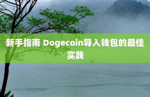 新手指南 Dogecoin导入钱包的最佳实践