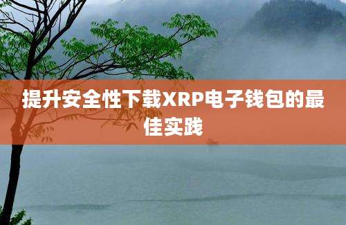 提升安全性下载XRP电子钱包的最佳实践