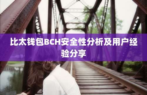 比太钱包BCH安全性分析及用户经验分享