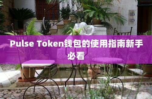 Pulse Token钱包的使用指南新手必看