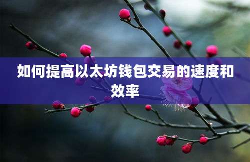 如何提高以太坊钱包交易的速度和效率