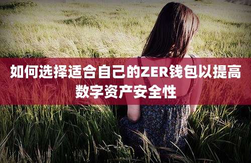 如何选择适合自己的ZER钱包以提高数字资产安全性