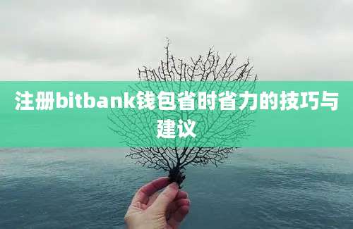 注册bitbank钱包省时省力的技巧与建议