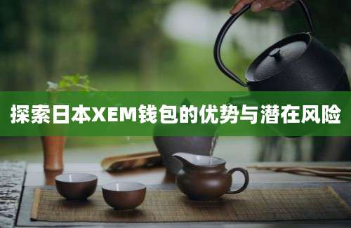 探索日本XEM钱包的优势与潜在风险