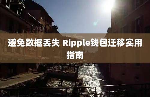 避免数据丢失 Ripple钱包迁移实用指南