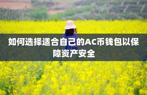 如何选择适合自己的AC币钱包以保障资产安全