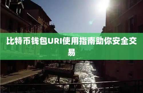 比特币钱包URI使用指南助你安全交易