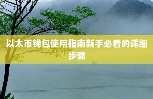 以太币钱包使用指南新手必看的详细步骤