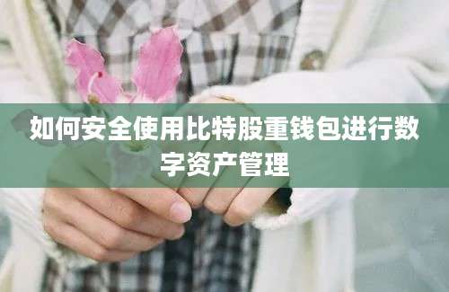 如何安全使用比特股重钱包进行数字资产管理