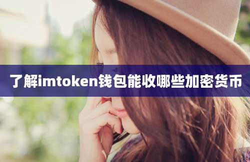 了解imtoken钱包能收哪些加密货币