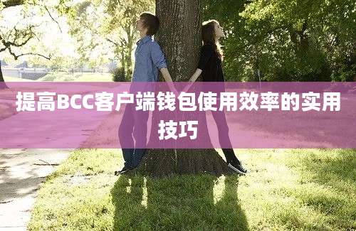 提高BCC客户端钱包使用效率的实用技巧