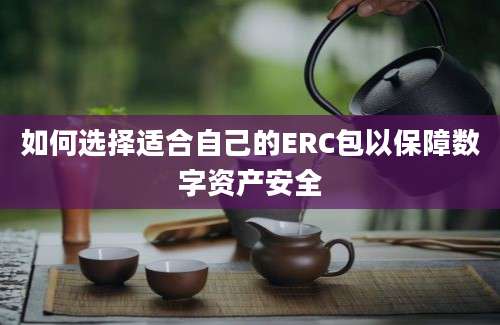 如何选择适合自己的ERC包以保障数字资产安全