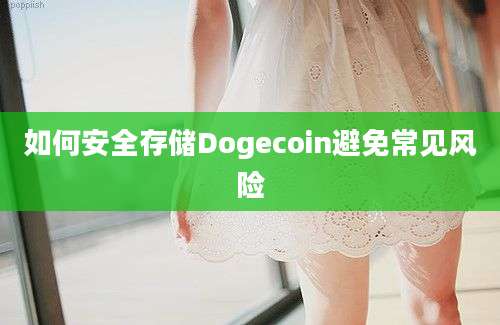 如何安全存储Dogecoin避免常见风险