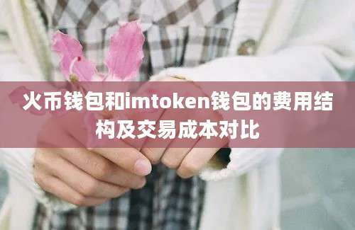 火币钱包和imtoken钱包的费用结构及交易成本对比