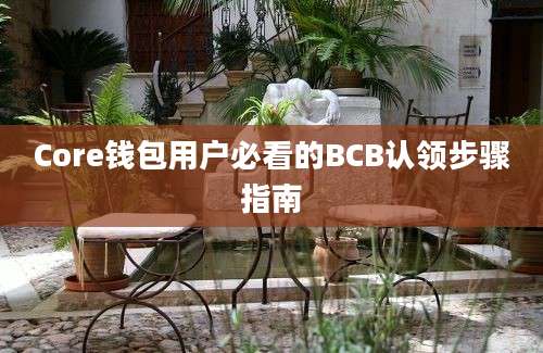 Core钱包用户必看的BCB认领步骤指南