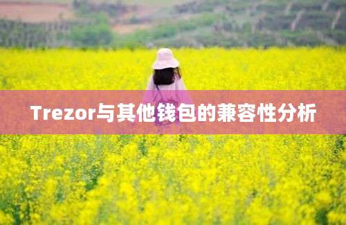 Trezor与其他钱包的兼容性分析