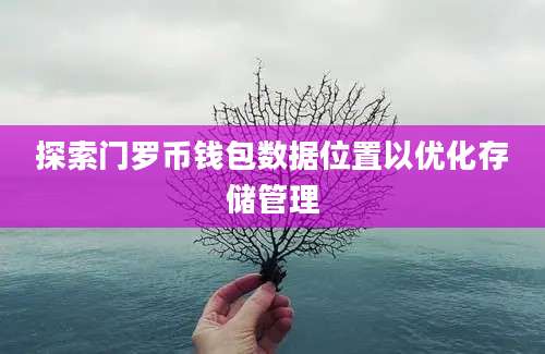 探索门罗币钱包数据位置以优化存储管理