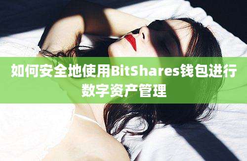 如何安全地使用BitShares钱包进行数字资产管理