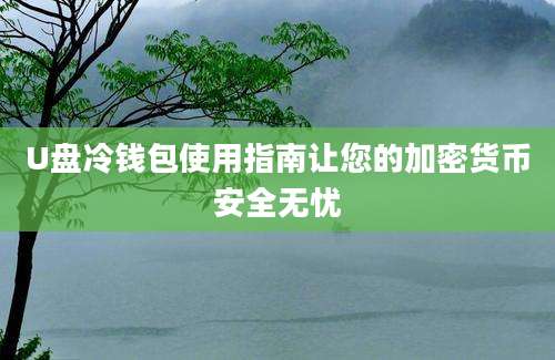 U盘冷钱包使用指南让您的加密货币安全无忧