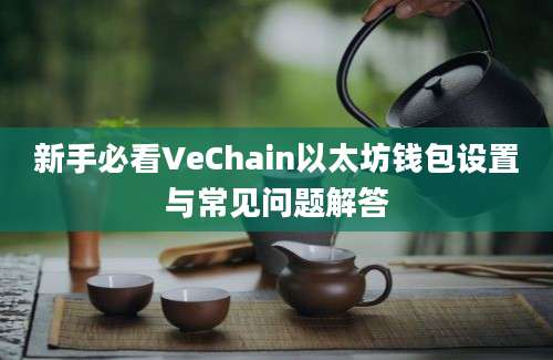 新手必看VeChain以太坊钱包设置与常见问题解答