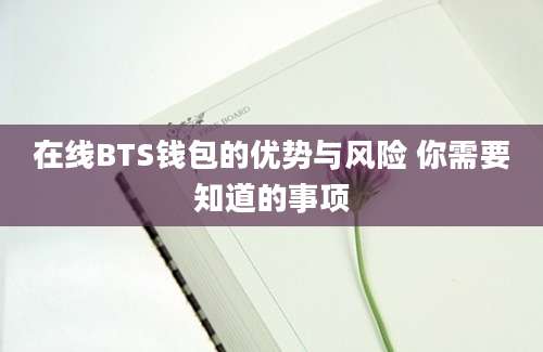 在线BTS钱包的优势与风险 你需要知道的事项