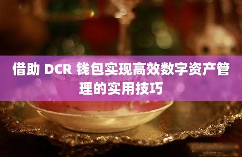 借助 DCR 钱包实现高效数字资产管理的实用技巧