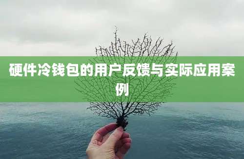 硬件冷钱包的用户反馈与实际应用案例