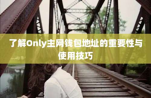 了解Only主网钱包地址的重要性与使用技巧