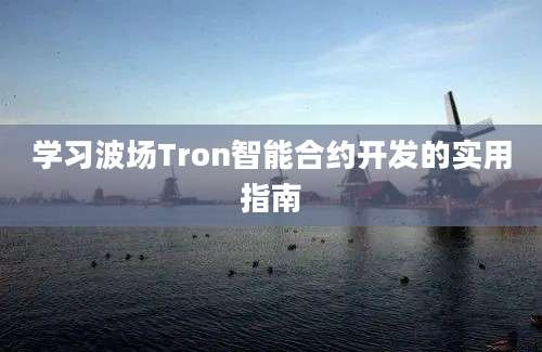 学习波场Tron智能合约开发的实用指南