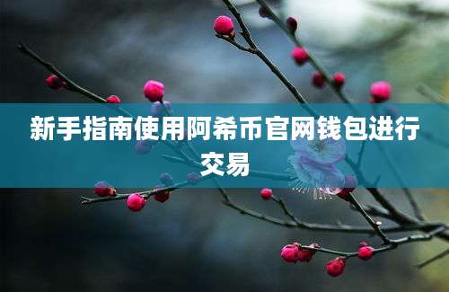 新手指南使用阿希币官网钱包进行交易