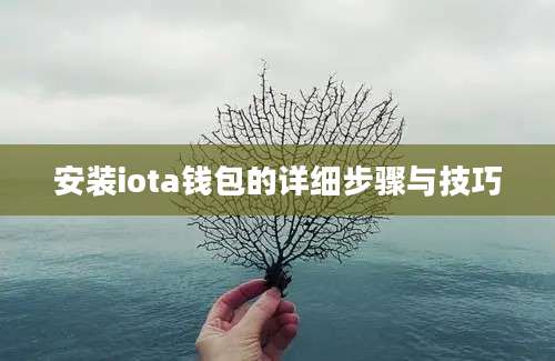 安装iota钱包的详细步骤与技巧