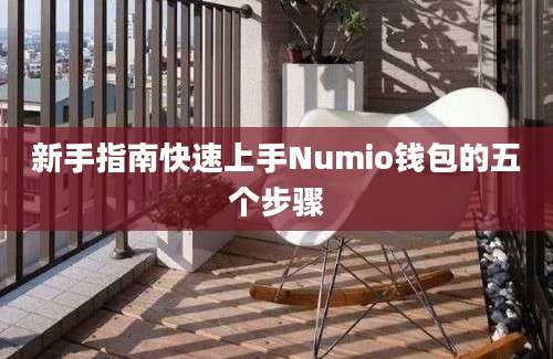 新手指南快速上手Numio钱包的五个步骤