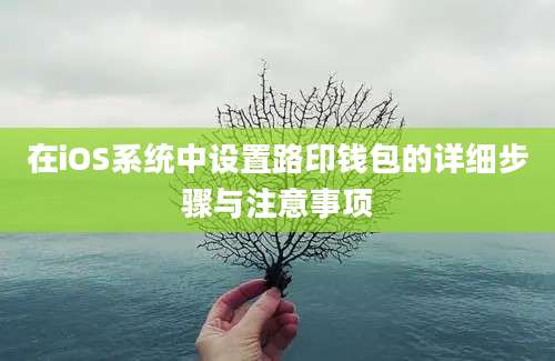 在iOS系统中设置路印钱包的详细步骤与注意事项