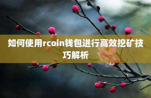 如何使用rcoin钱包进行高效挖矿技巧解析