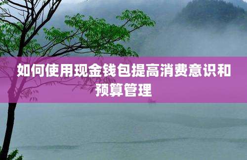 如何使用现金钱包提高消费意识和预算管理