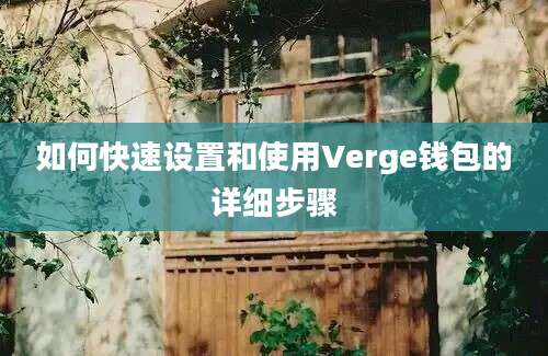 如何快速设置和使用Verge钱包的详细步骤