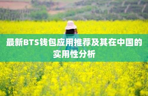 最新BTS钱包应用推荐及其在中国的实用性分析