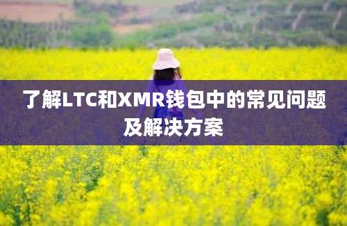 了解LTC和XMR钱包中的常见问题及解决方案