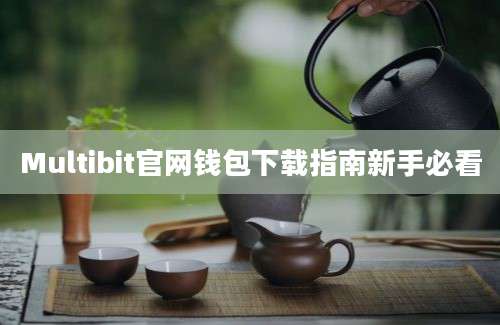 Multibit官网钱包下载指南新手必看