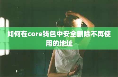 如何在core钱包中安全删除不再使用的地址