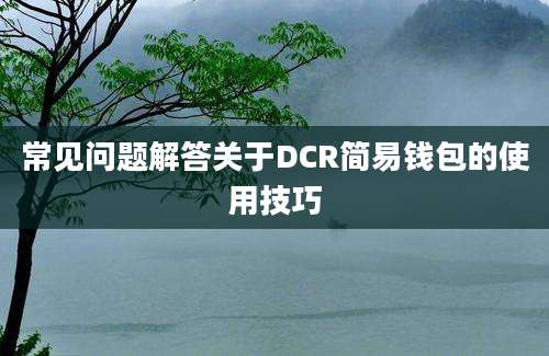 常见问题解答关于DCR简易钱包的使用技巧